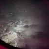 aliciaaa1110