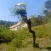 anwar51285