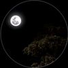 aman.qasim8