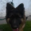 anitabiegaska45