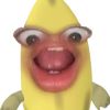 zieankbaik