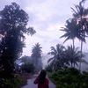 putry8669