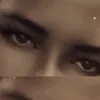 zenaidele