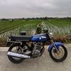 gl_blue26