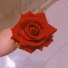 user37508119374516