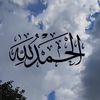 user8468239304588