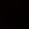 bydino_48