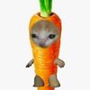 10karatcarrot