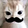 yorgailyy_