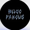 blog_pangus