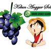 kebun.anggur.solo.46