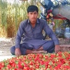 kamran.mirani878