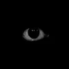 forgotten_ufo