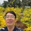 minhnguyen7929