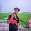 raton.roy529