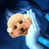 sd_st4r