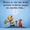 cesarcamejo21