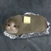 broken.cookie60