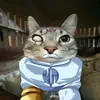 omnicat3