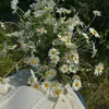 flowwer50
