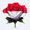 user4079211904739