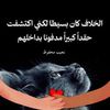 l.firt.dnfll