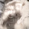 nastasya_stasya.1