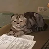 .murchalka12