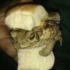 givemeyourtoebone