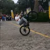 rafxisy