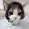 nikuleeeee_13