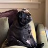 peanut_022711
