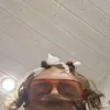 they_view666
