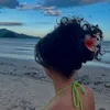 liah.pavanelle