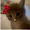 not_sophie15