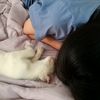 cutesaranghaeyo