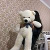 user6197129684322