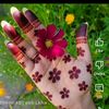 mim.talukder954