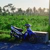 stylekemon