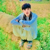 princ__afg