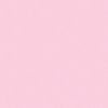 _rinn.yin