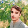 shahwani6482