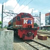 naelrailfans_