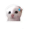 memecat003
