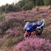 dutchnsr