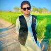pti.tigers.8043
