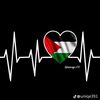 youssef.gaber94