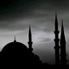 moazwalied68