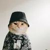 rawwrrrmeowmeow