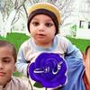 shadi.ullah76